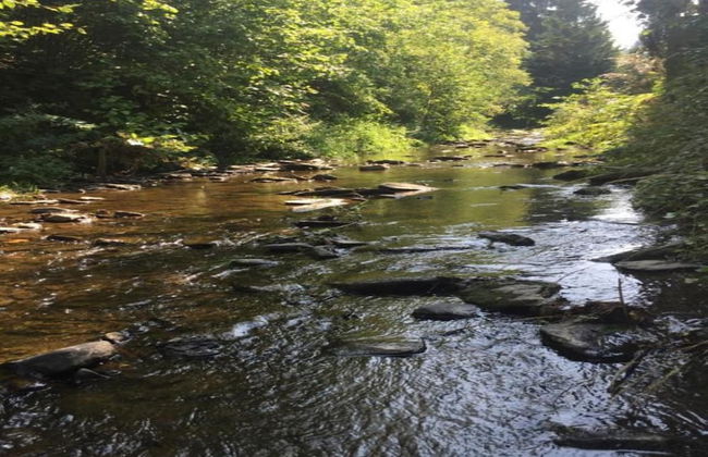 Rendeux Villa With Garden - Photo 36