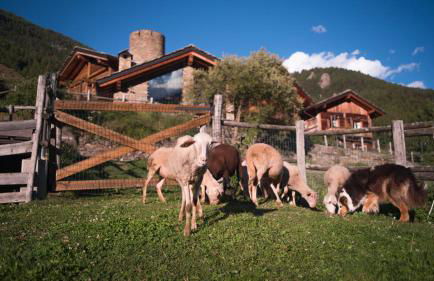 Agriturismo Plan de la Tour B&B - Photo 46