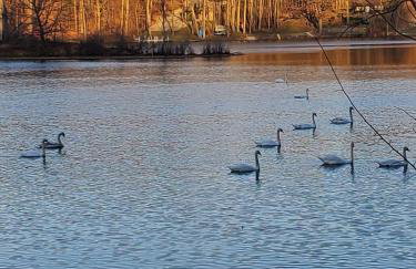 Lakefront Fun on Papakeechie | Kayaks & More! - Foto 16