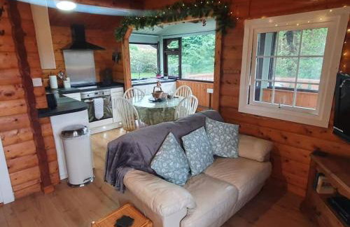 Snowdonia Escapes # TRANQUIL CABIN with Views, Wi-Fi, Dog Friendly & Parking - Foto 11