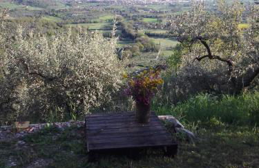 Casetta Nonna Augusta (Spello 9 km-Assisi 12 km) - Foto 21