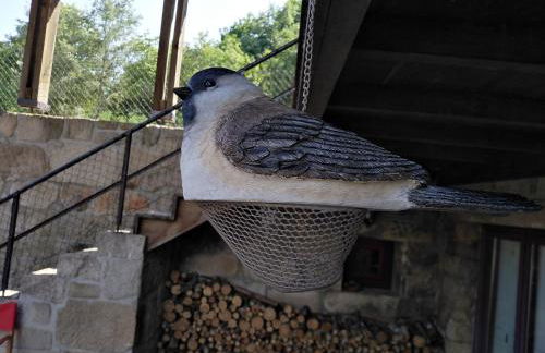 Quinta de Fermil - Casas - Foto 4