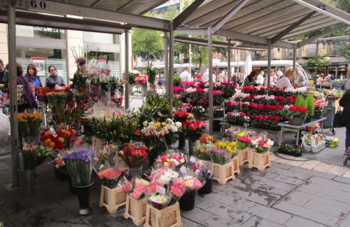 Appartement - Foto 16