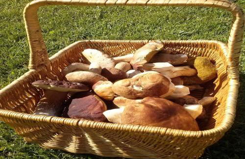 Naturaleza, Confort y Magnificas vistas a Sierra de Gata TR-CC-00490 - Foto 45