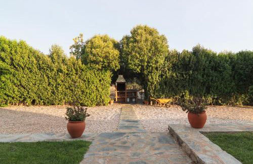 Monte Ribeira de Mures - Foto 11