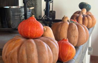 Agriturismo La Vita è Bella - Foto 32