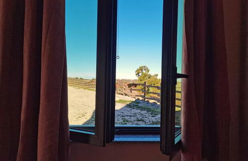 Cantina Visconti - Agriturismo - Photo 4