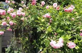 Chalet Alba - Foto 38