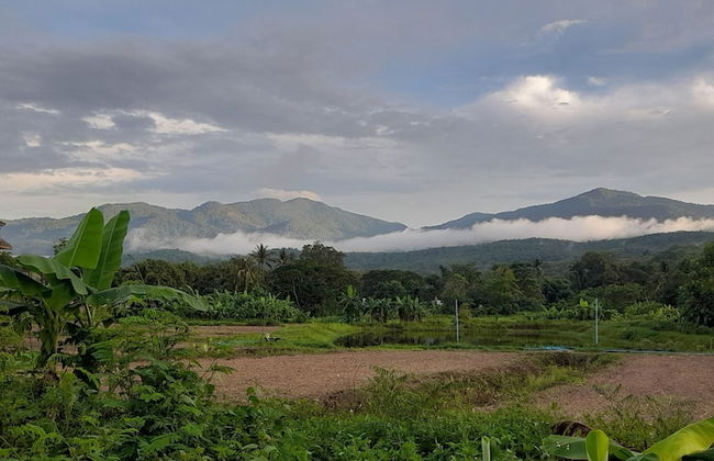 Baan Berm Family Inn - Photo 26