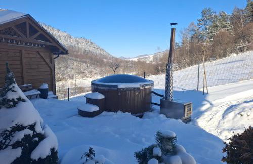 Willa na Wzgórzu - Foto 2