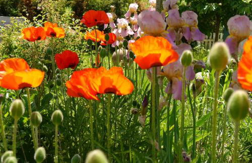Ferienwohnung Weserblick Polle - Foto 32