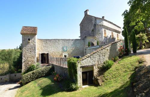 Castle 12th century with private pool close to Agen - Foto 8