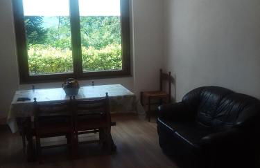 Le camelie - Foto 12