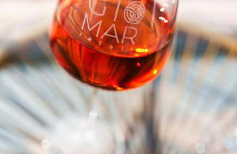 Gio Mar Green - Foto 22