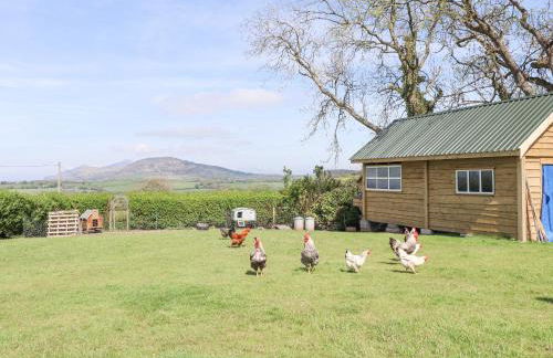 Ael-y-bryn - Photo 23