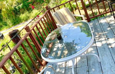 The Old Haven - An Enduring Piece of Nostalgia - Foto 44