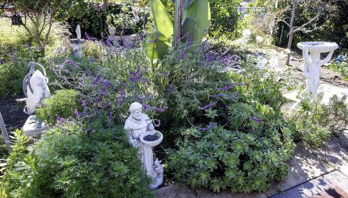 Near SoCal sports complex, Frontwave Arena-Sold - Foto 4