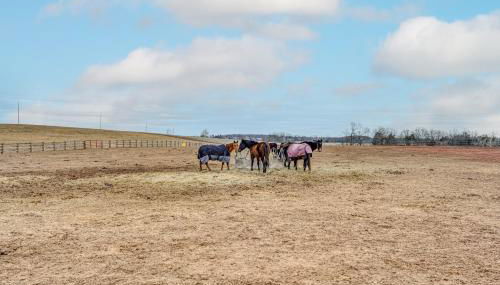 Rural and Historic Detour Escape with Horses On-Site! - Foto 2