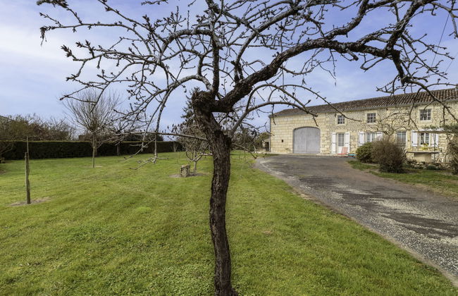 Gîte La Truffière Saintongeaise - Foto 15