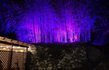 Vacation Home Tuscany Pisa-Lucca 1 - Foto 29