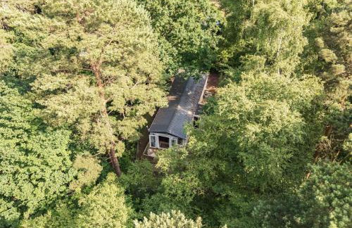 Tree Tops - Norfolk Cottage Agency - Photo 17