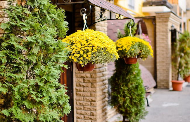 Sherborne ApartHotel - Foto 33