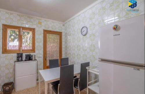 Ca na Planta - Foto 38
