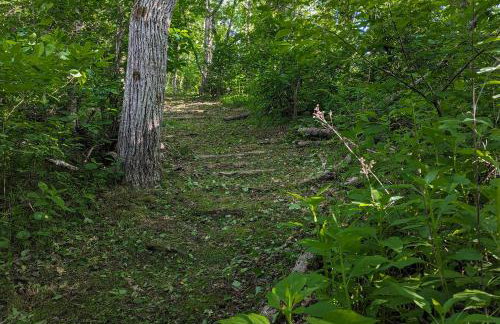Hot Tub and River Views Doolittle Mountain Cabin - Foto 32
