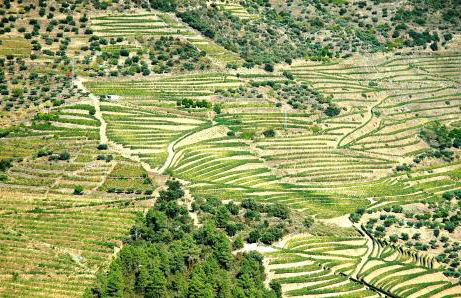 Casa Dos Lagares De Vara E Pedra - Foto 16