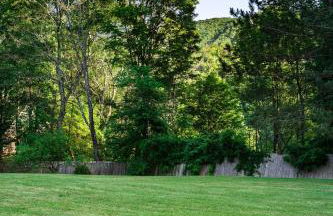 Mansion of Belleayre Mountain! POOL, SAUNA, Game Room - Foto 8