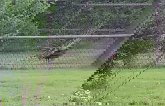 Ca' Amedeo - Foto 22