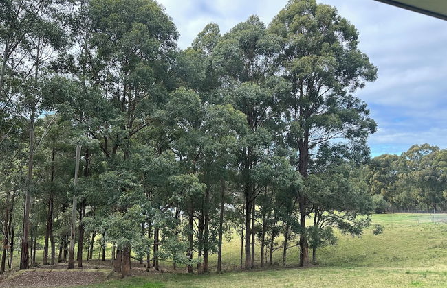 Blueberry Hills on Comleroy - Photo 57