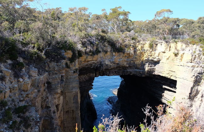 Blossoms on the Bay - 4 Bedrooms - Foto 44