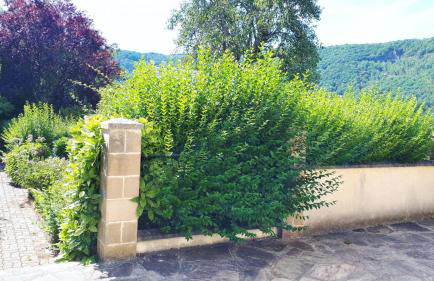 L'esperance 2 - Foto 14