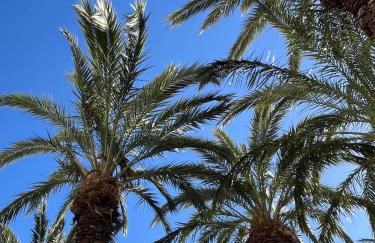 O Entre Mar y Montaña - Foto 30