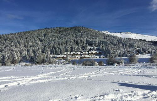 Gîte chaleureux au lac de Payolle - Foto 18
