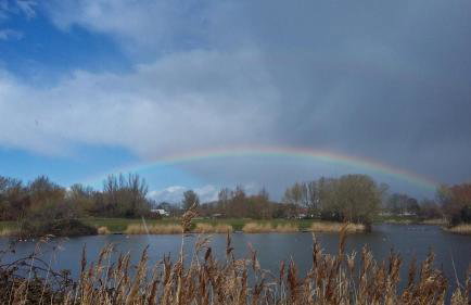 Seashell luxury apartment - Foto 29