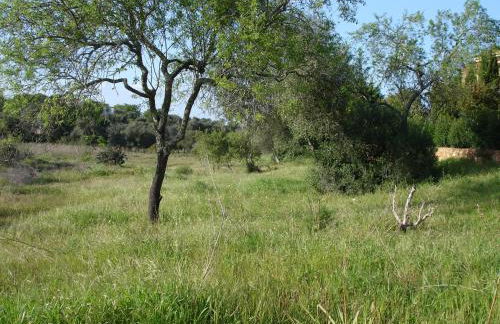 A country house near the beach - Photo 37