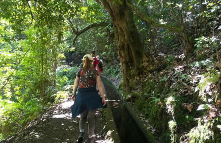 Porto Moniz Villa - Foto 45