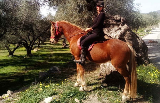 Balade à cheval à travers l'Alpujarra - Photo 7