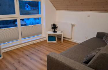 Ferienhaus Nordhorn - Haus Am See - Foto 29