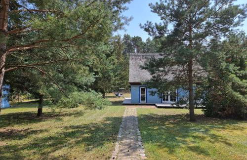 Pommernhaus Vorsee am Kiefernwald - Foto 23