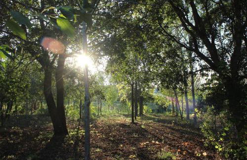 ADOBE TYPICAL COTTAGE - Foto 38