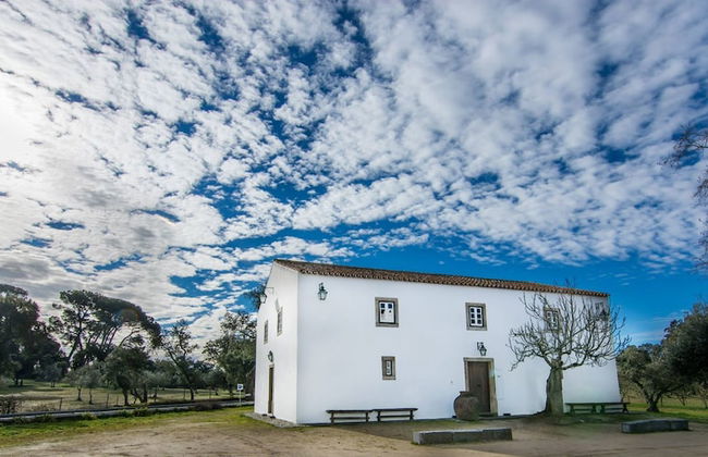 Quinta dos Ribeiros - Photo 58