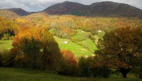 Alberroakoborda - Foto 5