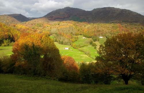 Alberroakoborda - Foto 5