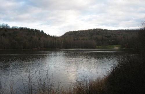 Ferienhaus am Silbersee 86 - Foto 34