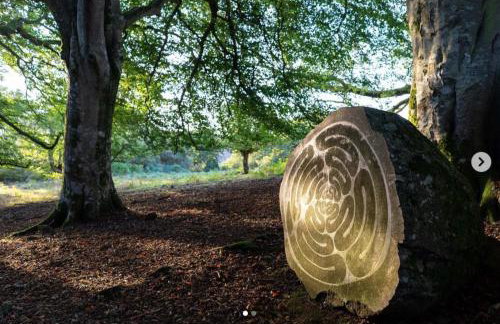 Swan Landing - Photo 26