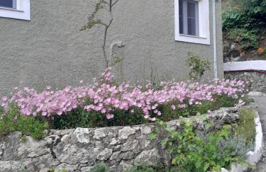 Manteshouse - Foto 14