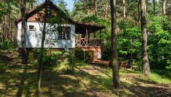 Masuria Warsaw - dom na wyłączność - w lesie i przy rzece - 15 min od Warszawy - Foto 3, Garden